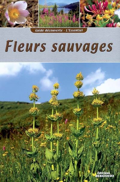 l'Essentiel Debaisieux - Fleurs Sauvages