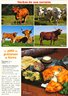 Carte postale vaches d'Auvergne