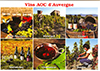 Carte postale les vins en Auvergne