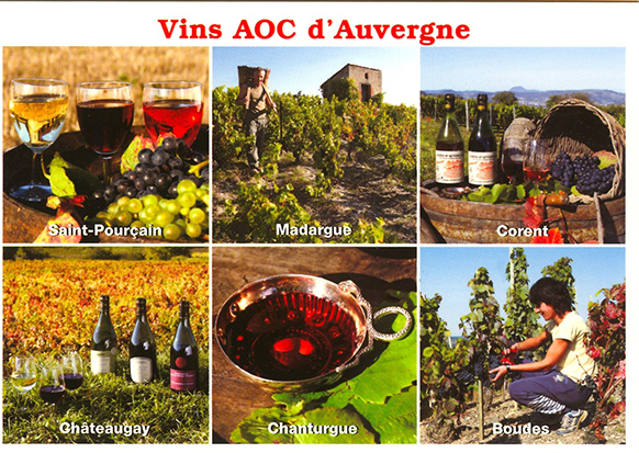 Carte postale les vins en Auvergne